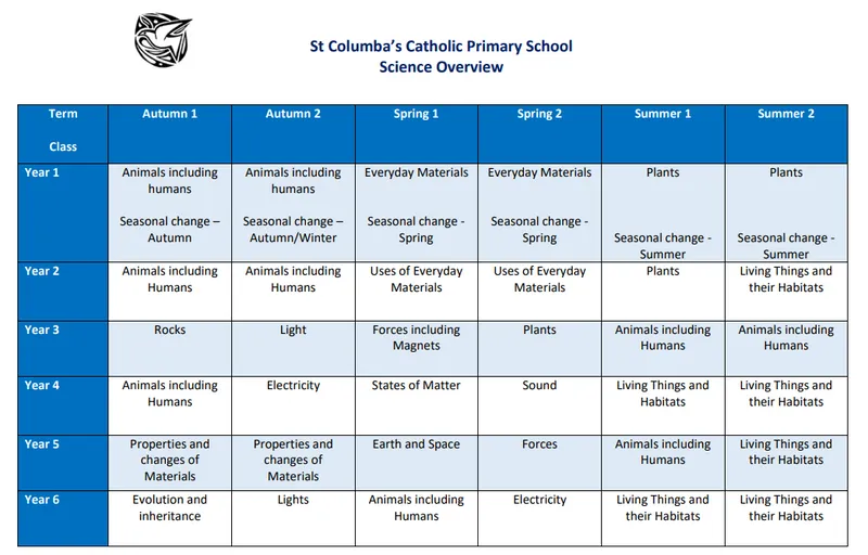 Our Curriculum Overview