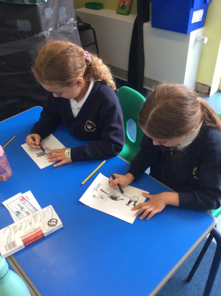 school curriculum